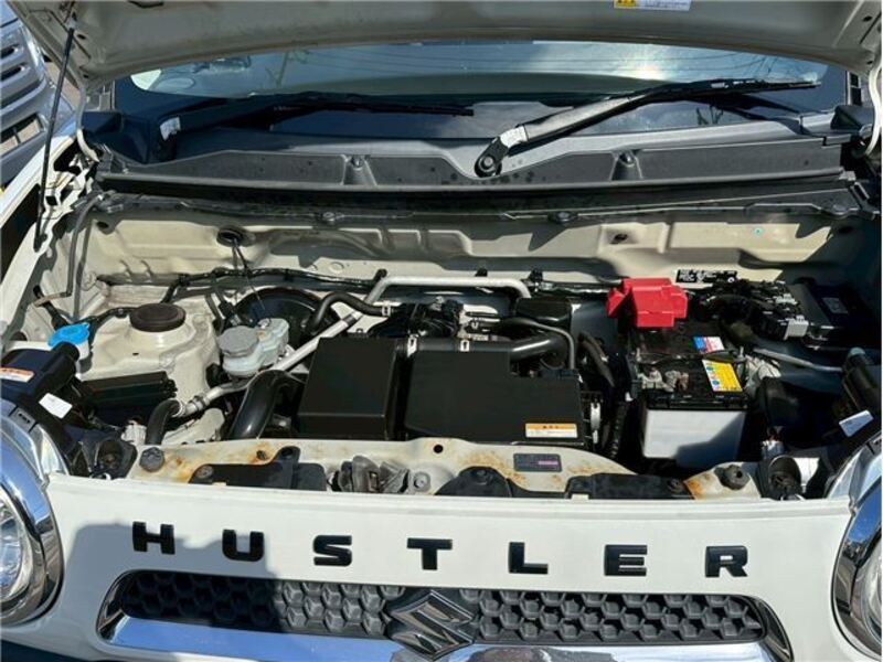 HUSTLER