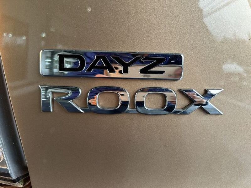 DAYZ ROOX