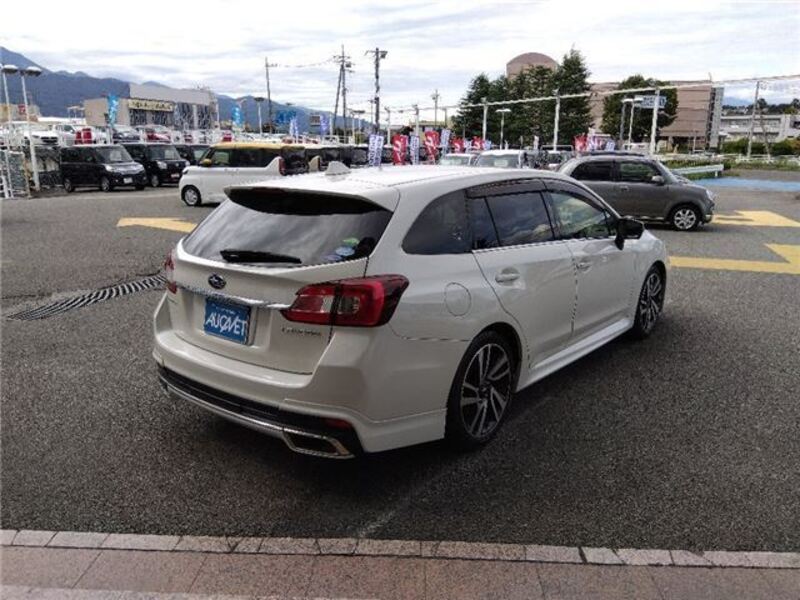 LEVORG