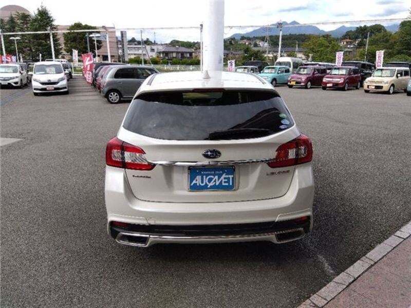 LEVORG