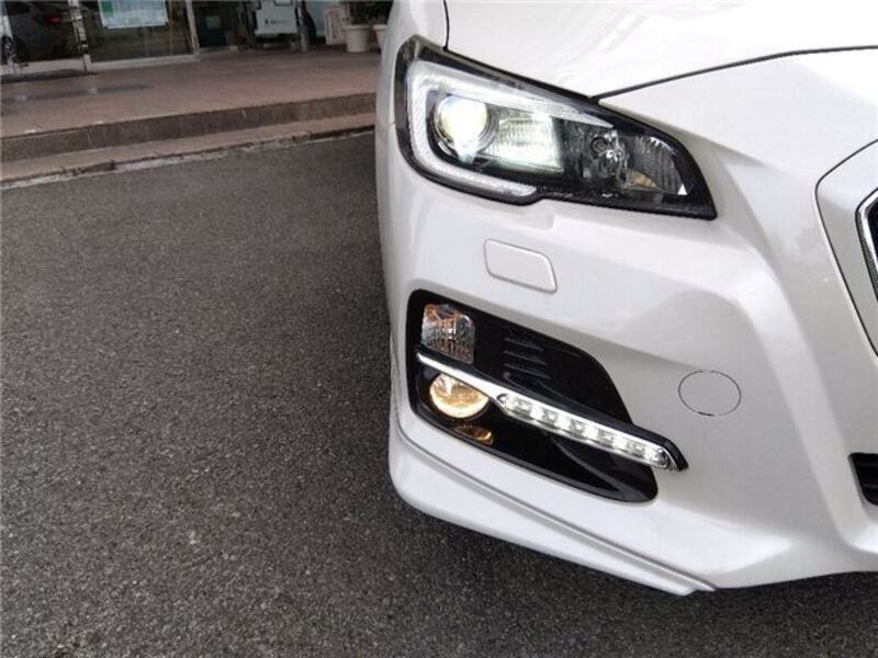 LEVORG