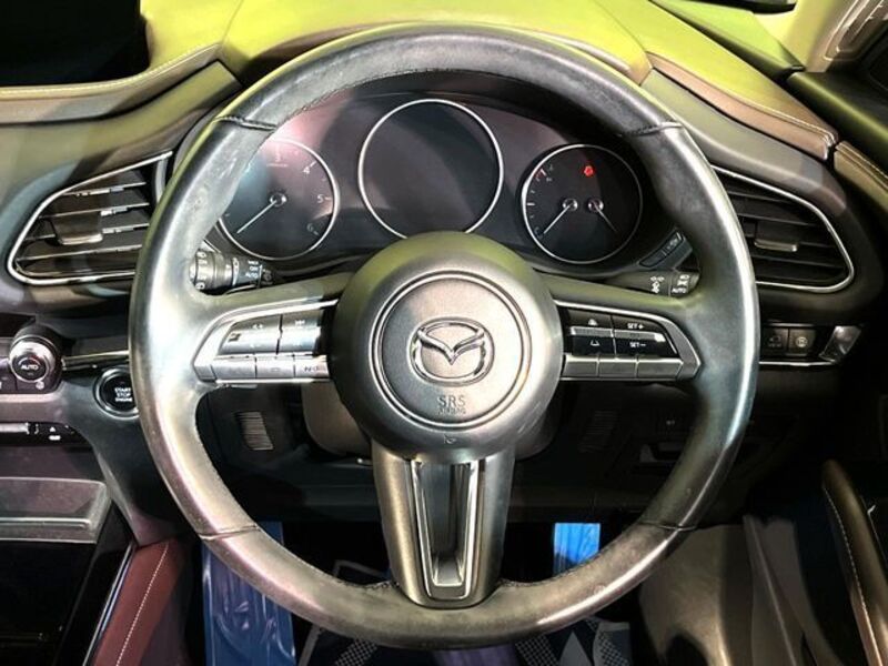 CX-30