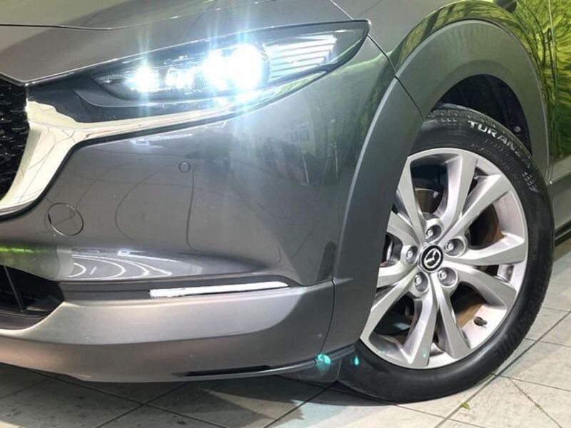 CX-30