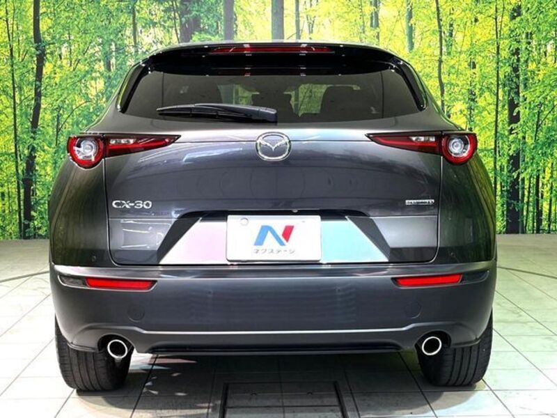 CX-30