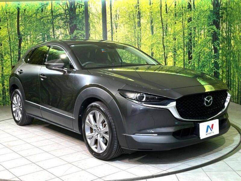 CX-30