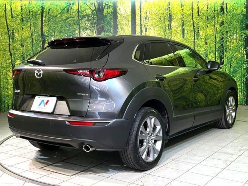 CX-30
