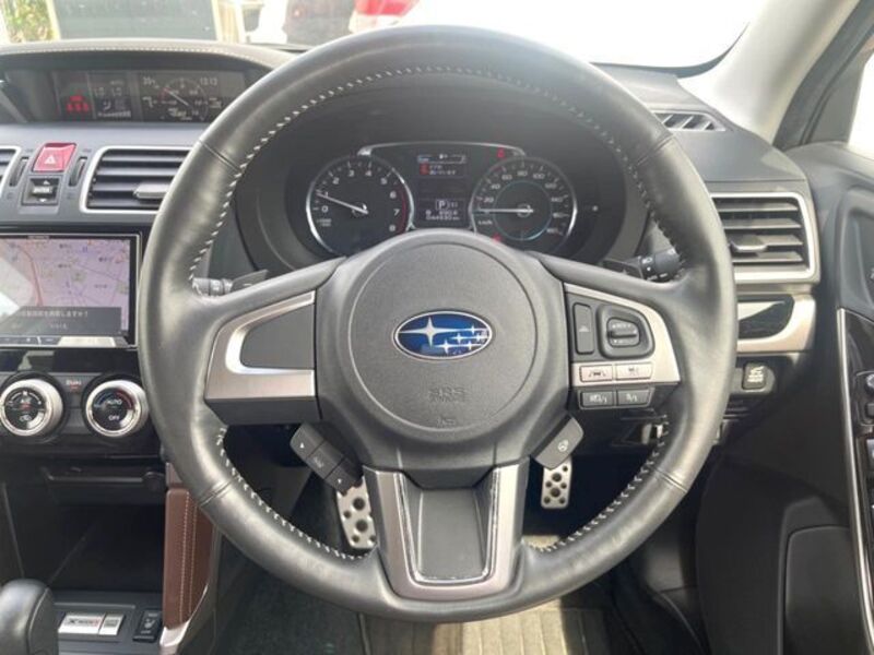 FORESTER