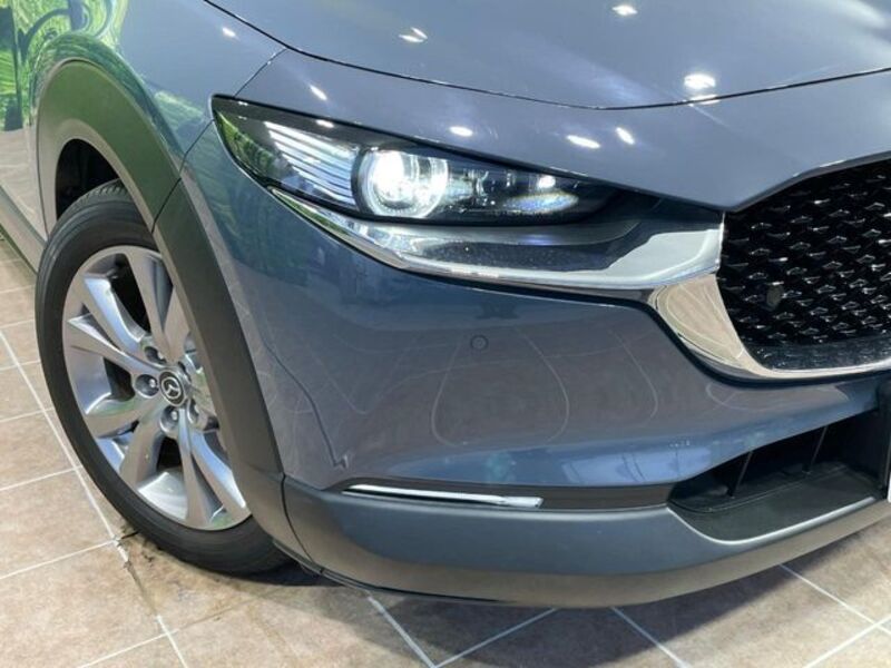 CX-30