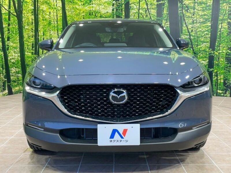 CX-30