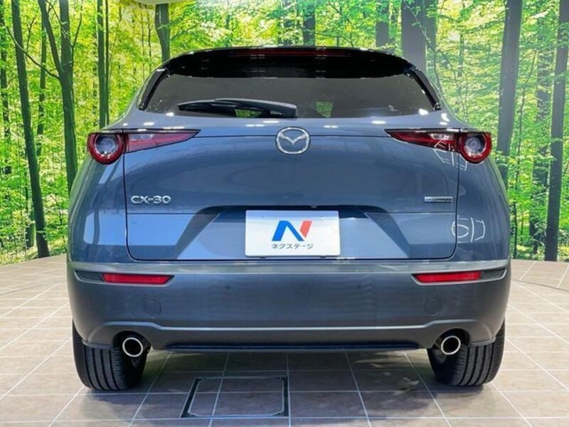 CX-30
