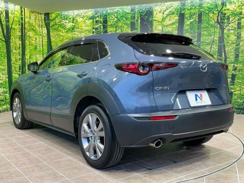 CX-30