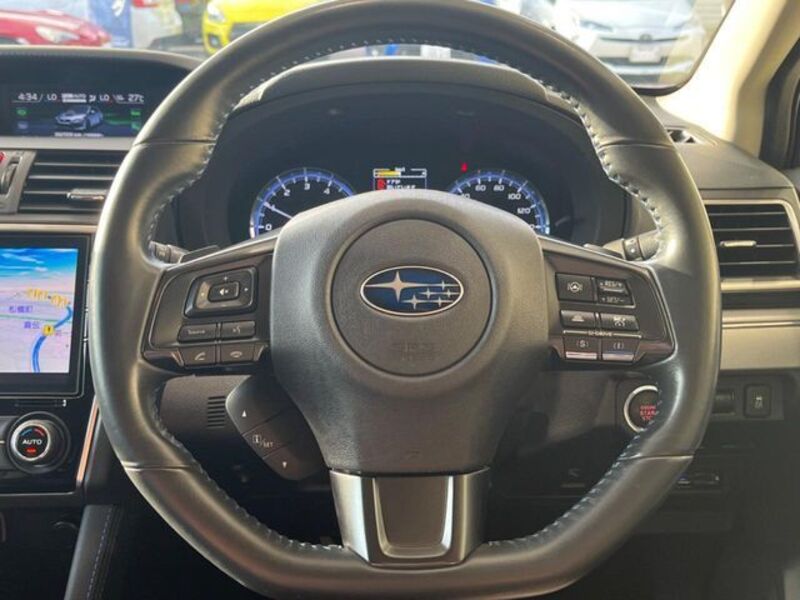LEVORG