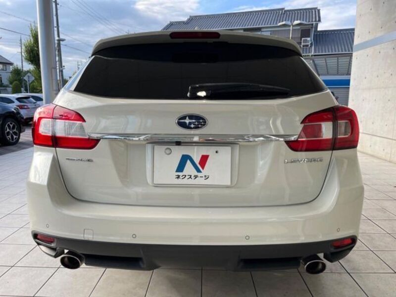 LEVORG