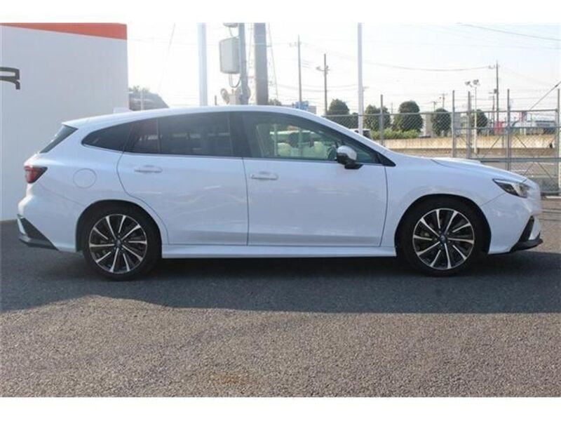 LEVORG