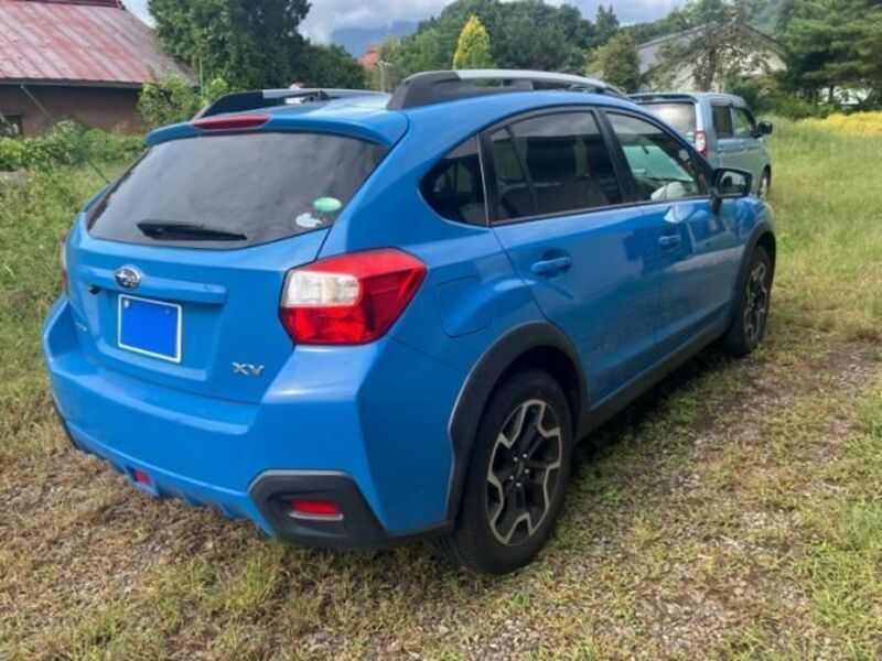 XV