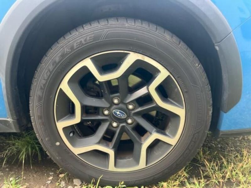XV