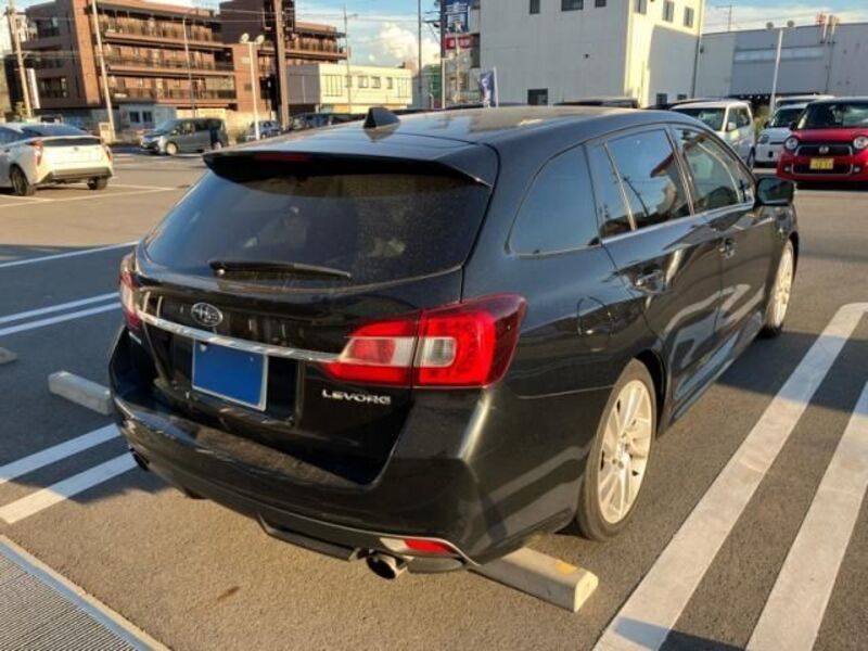 LEVORG