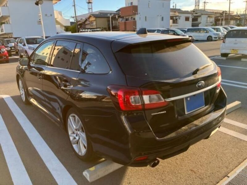 LEVORG
