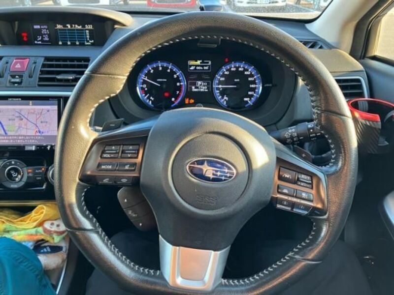LEVORG