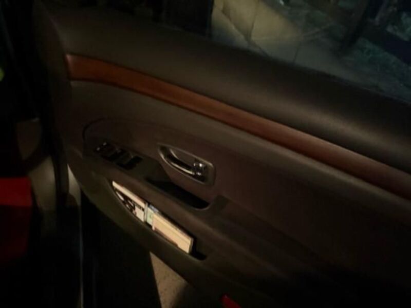 BLUEBIRD SYLPHY