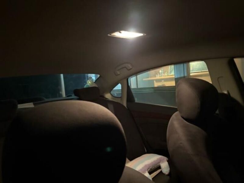 BLUEBIRD SYLPHY