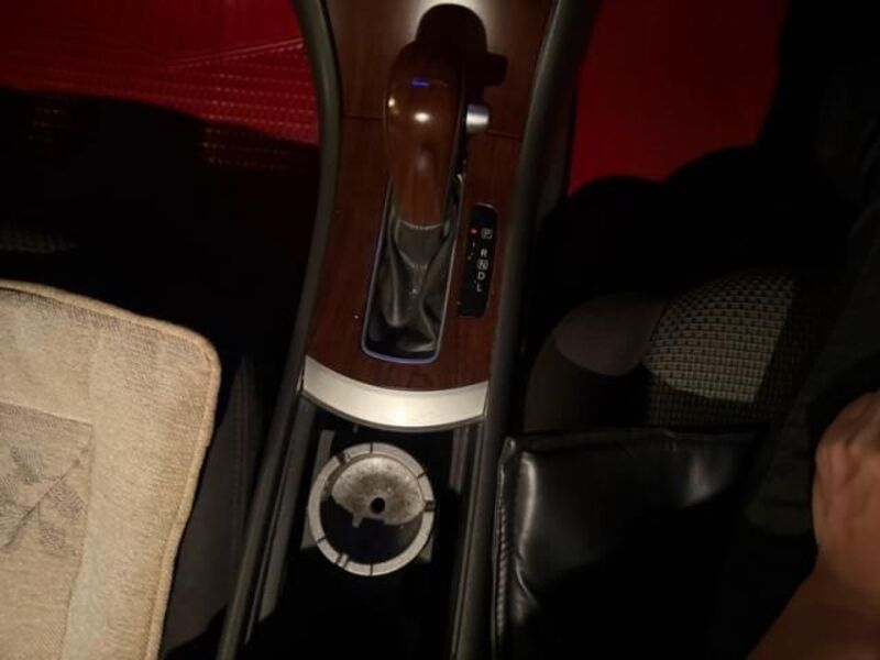 BLUEBIRD SYLPHY