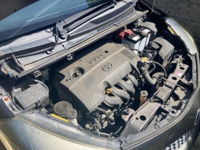 VITZ