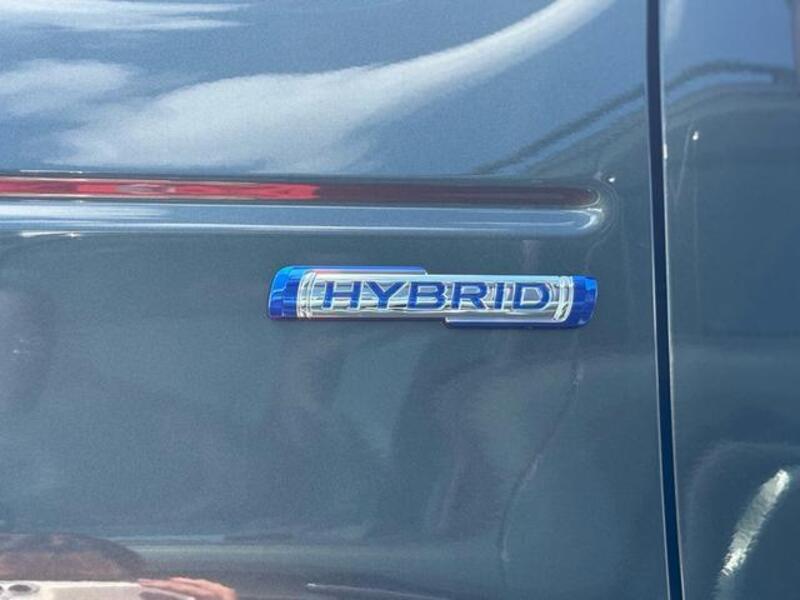 HUSTLER