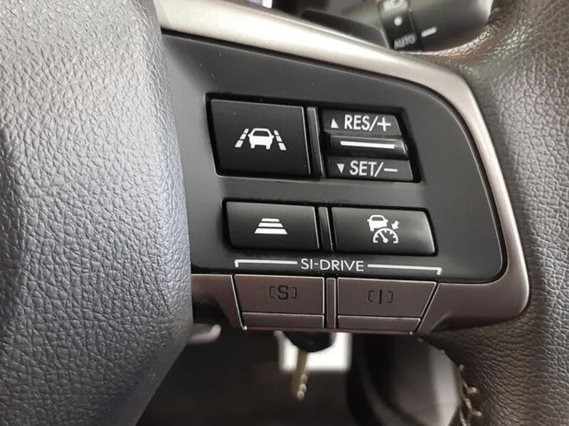 XV