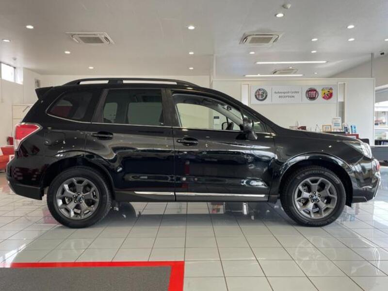 FORESTER
