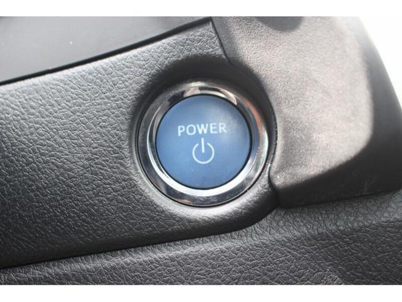 AURIS