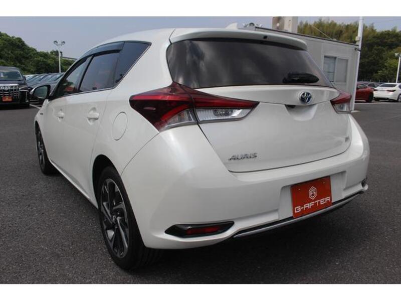 AURIS