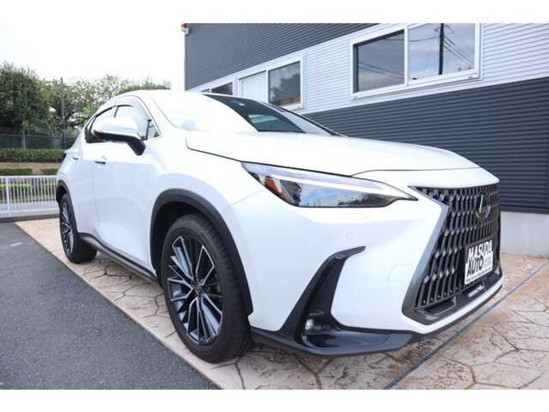 NX