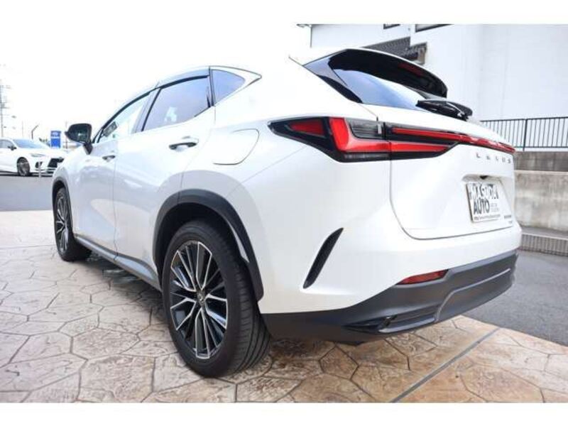 NX