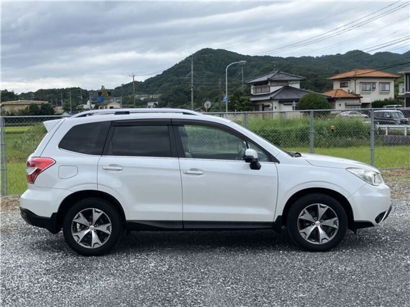 FORESTER