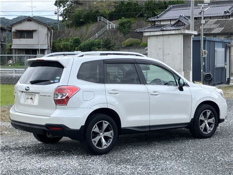 FORESTER