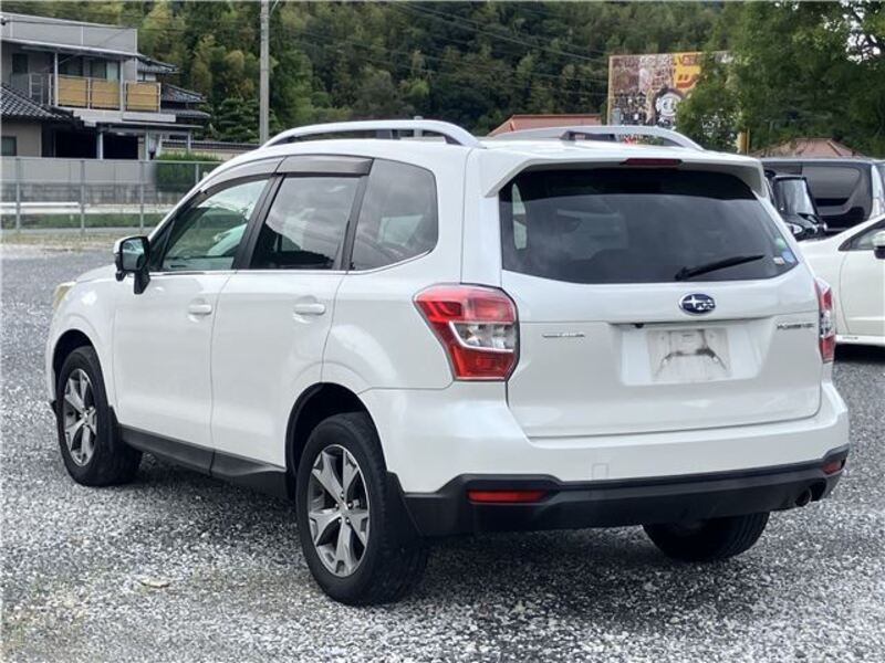 FORESTER