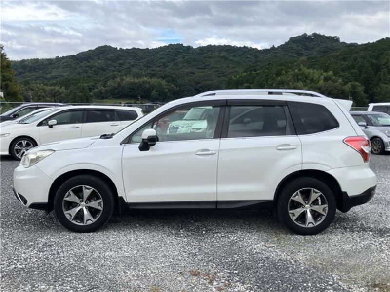 FORESTER