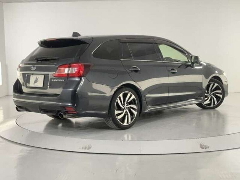 LEVORG
