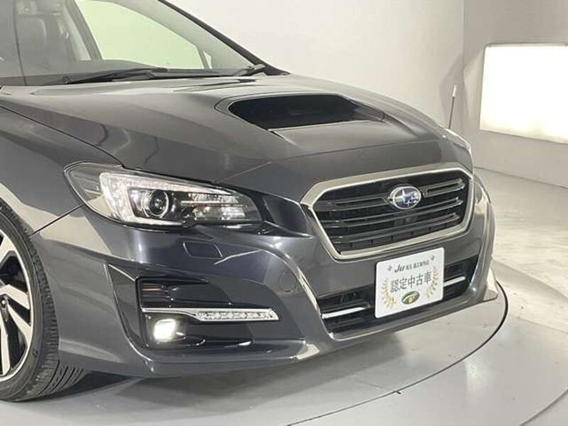 LEVORG