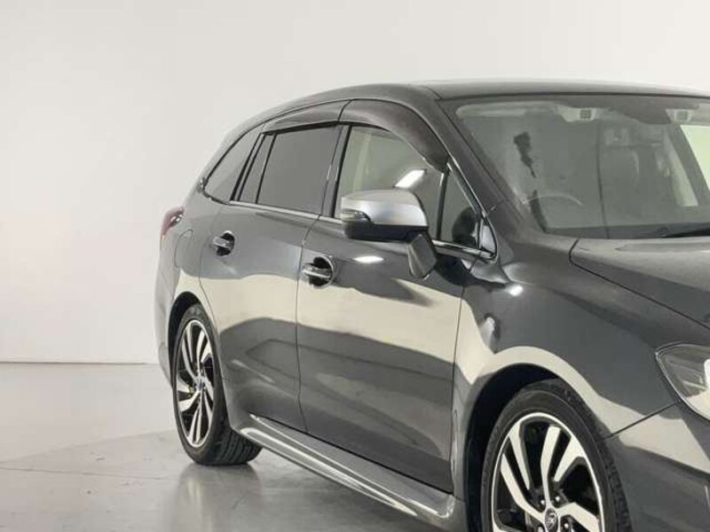 LEVORG