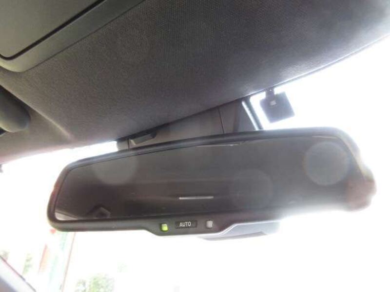 AURIS