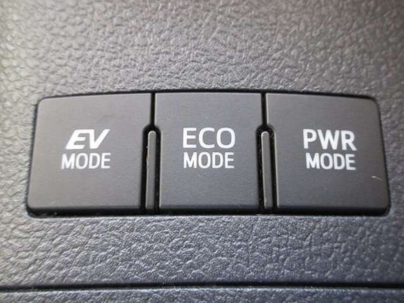 AURIS