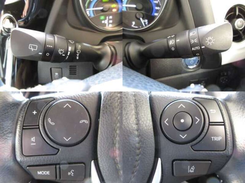 AURIS