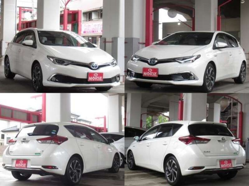 AURIS