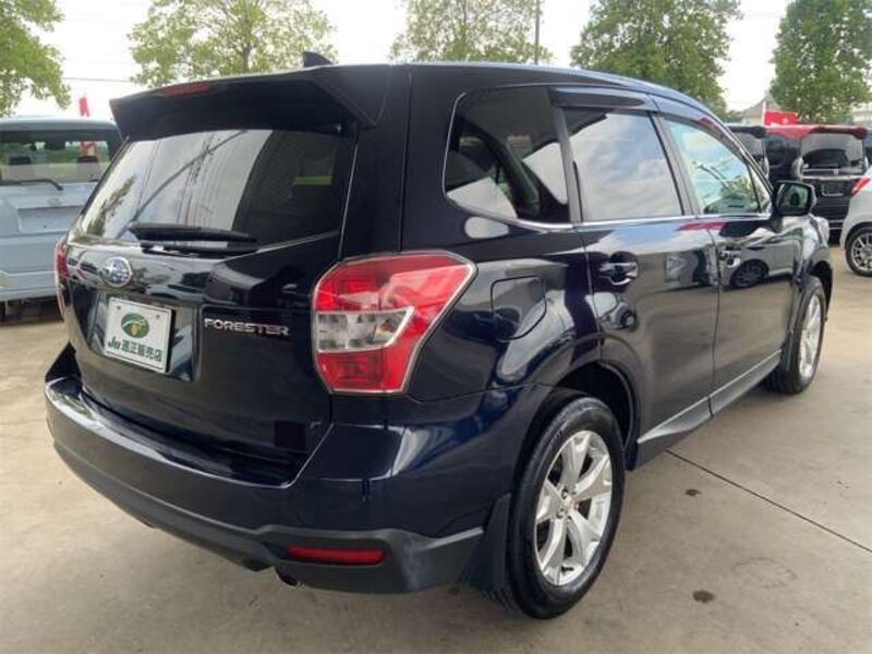 FORESTER