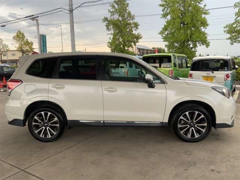 FORESTER