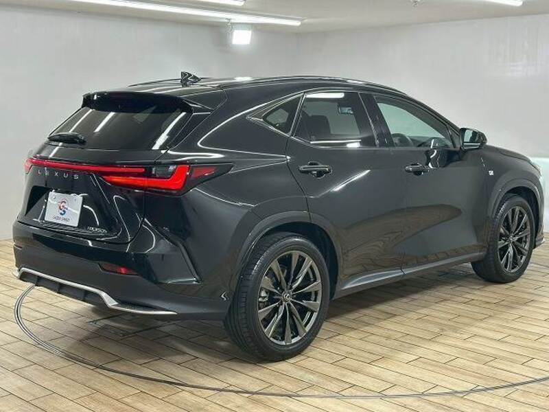 NX