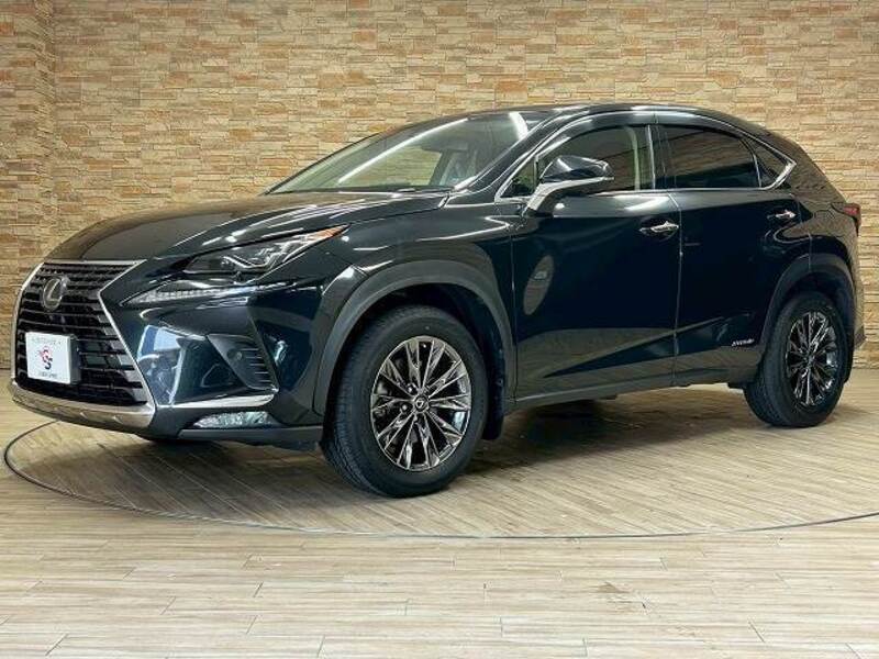 NX