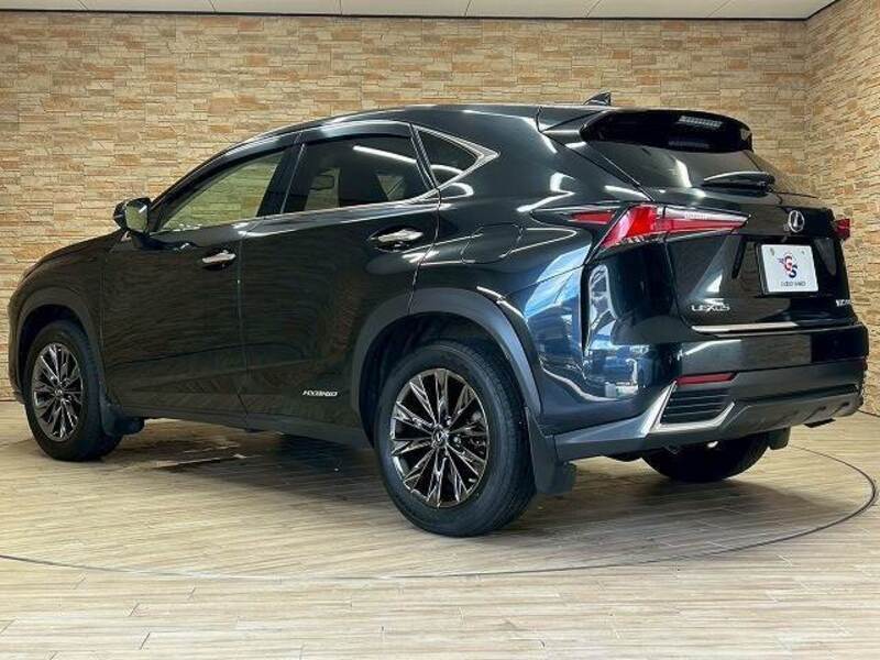 NX